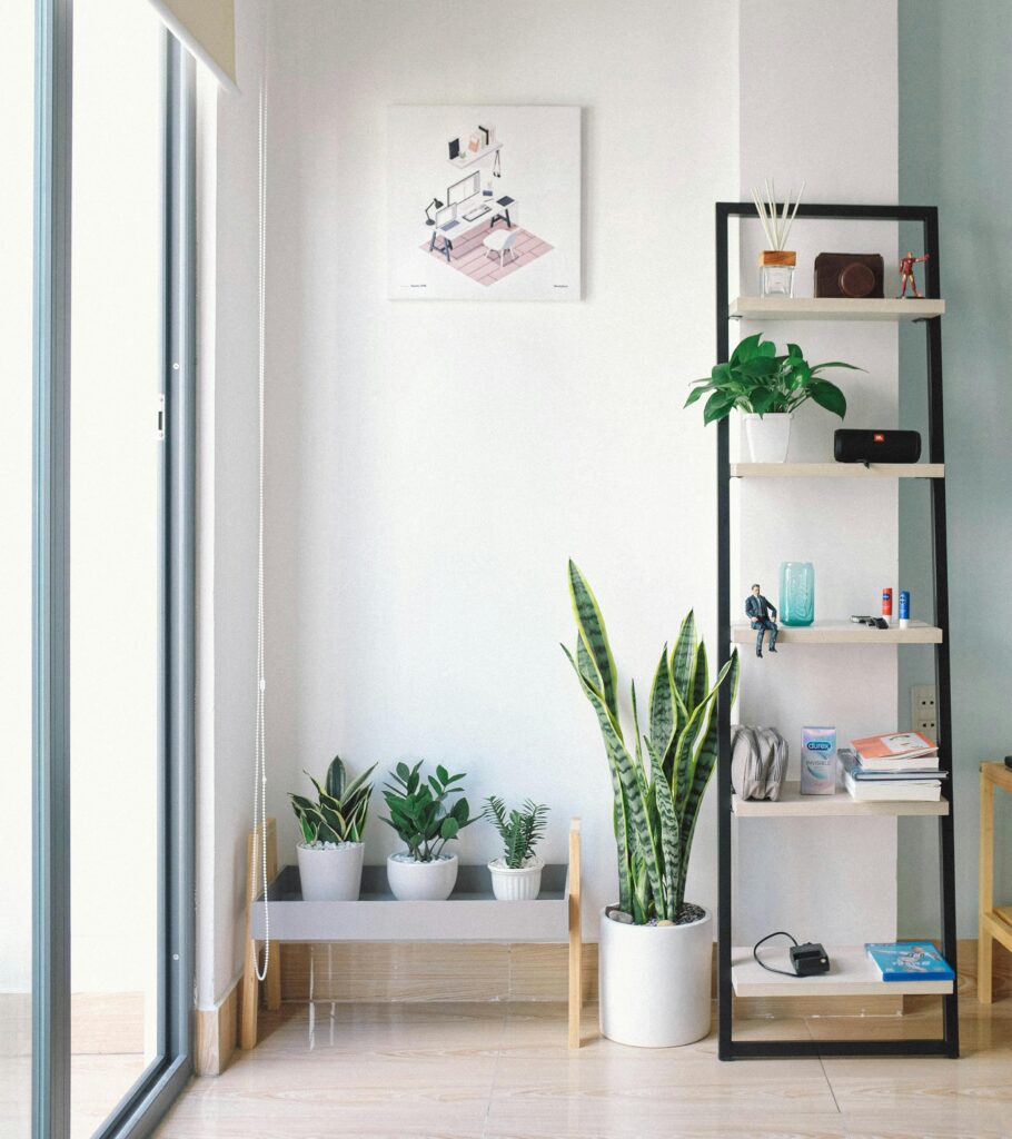 Bright, modern interior with minimal decor, featuring lush houseplants, shelving, and natural light.