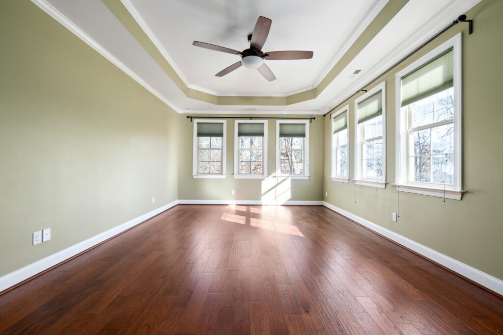 tray ceiling in living room
