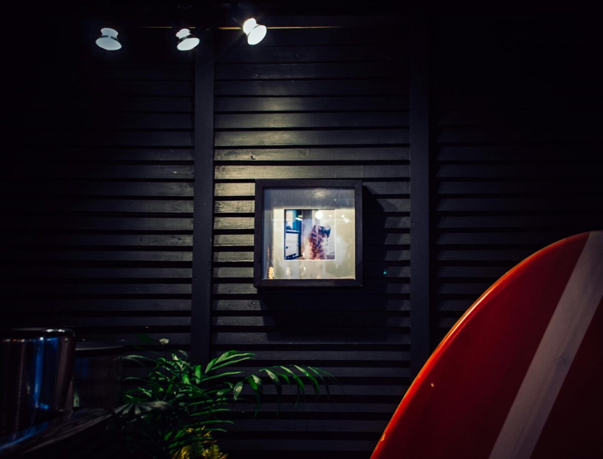 Modern indoor setting with framed art, surfboard, and decorative plants.