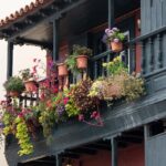 balcony, planting, architecture, balconies, facade, house facade, balcony, balcony, balcony, balcony, balcony, facade