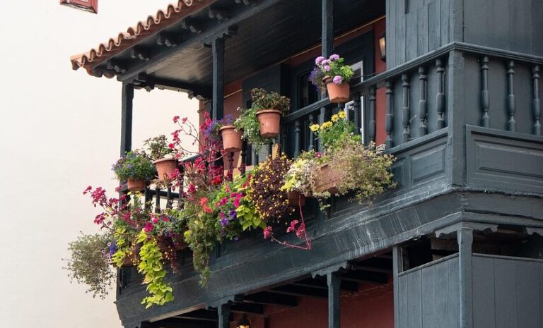 balcony, planting, architecture, balconies, facade, house facade, balcony, balcony, balcony, balcony, balcony, facade
