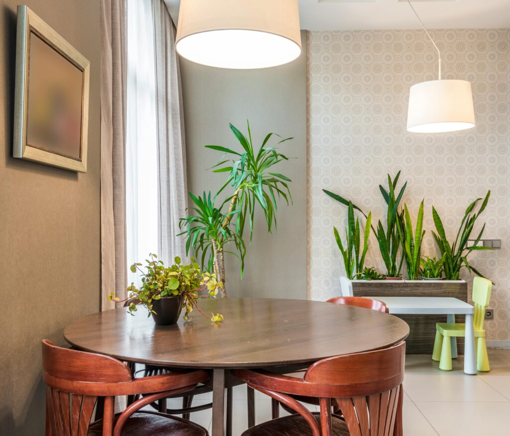 A bright and stylish dining area featuring wooden chairs, plants, and ambient lighting.